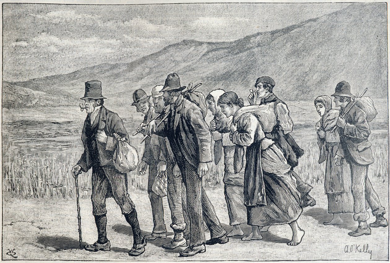 Irland: sæsonarbejdere til høst af Unknown artist