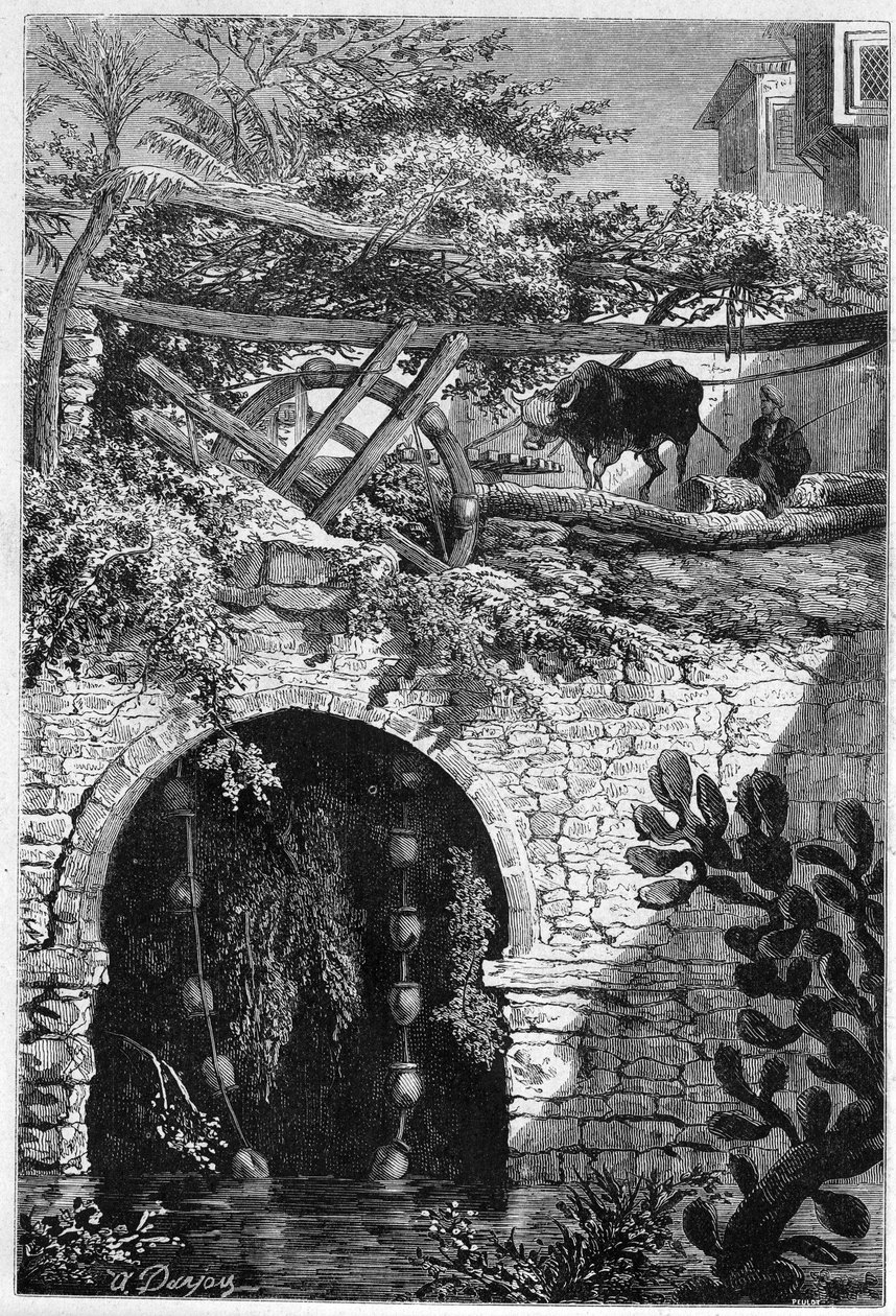 Kunstvanding i Egypten: en okse drejer et hjul rundt, som er viklet spande. Indgravering i "" Le Monde Illustré"" nr. 1313 af 27. maj 1882. af Unknown artist