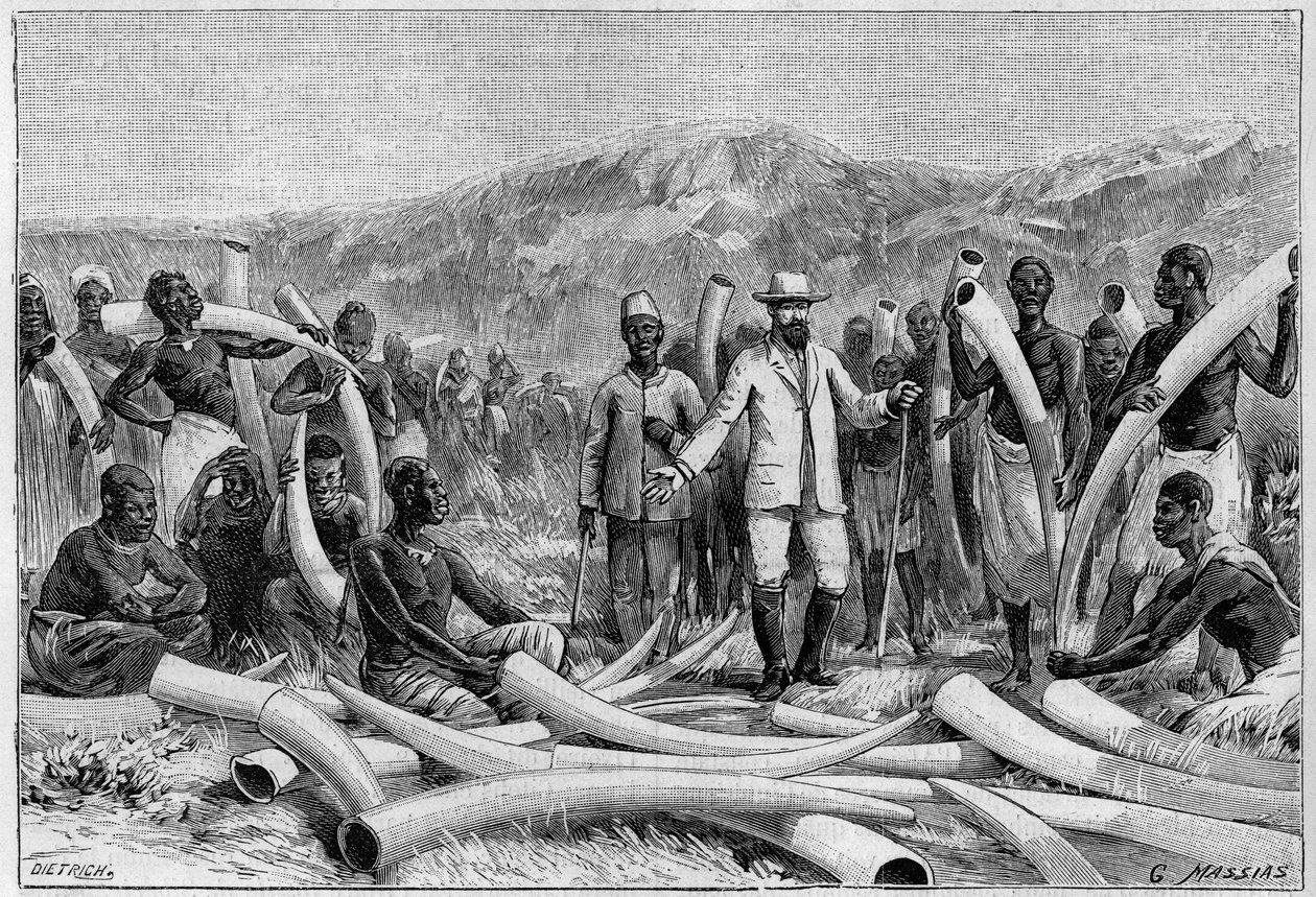 Elfenben i Afrika: Elefantforsvar indsamlet af Eduard Schnitzer af Unknown artist