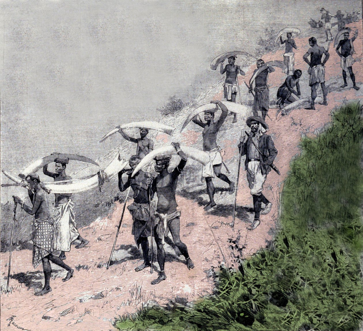 Elfenbenshandel: karavane af congolesiske transportører bærer elefantforsvar. Indgravering af det 19. århundrede af Unknown artist