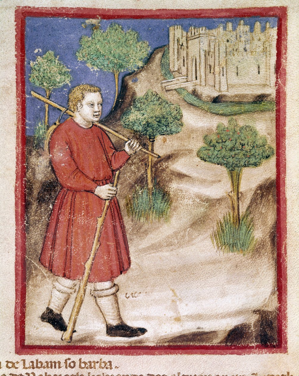 Jakob tager til Laban i Mesopotamien Miniature fra Codex 212 (eller Padovano eller Bible of Padua) 1390-1400 Rovigo, Accademia dei Concordi af Unknown artist