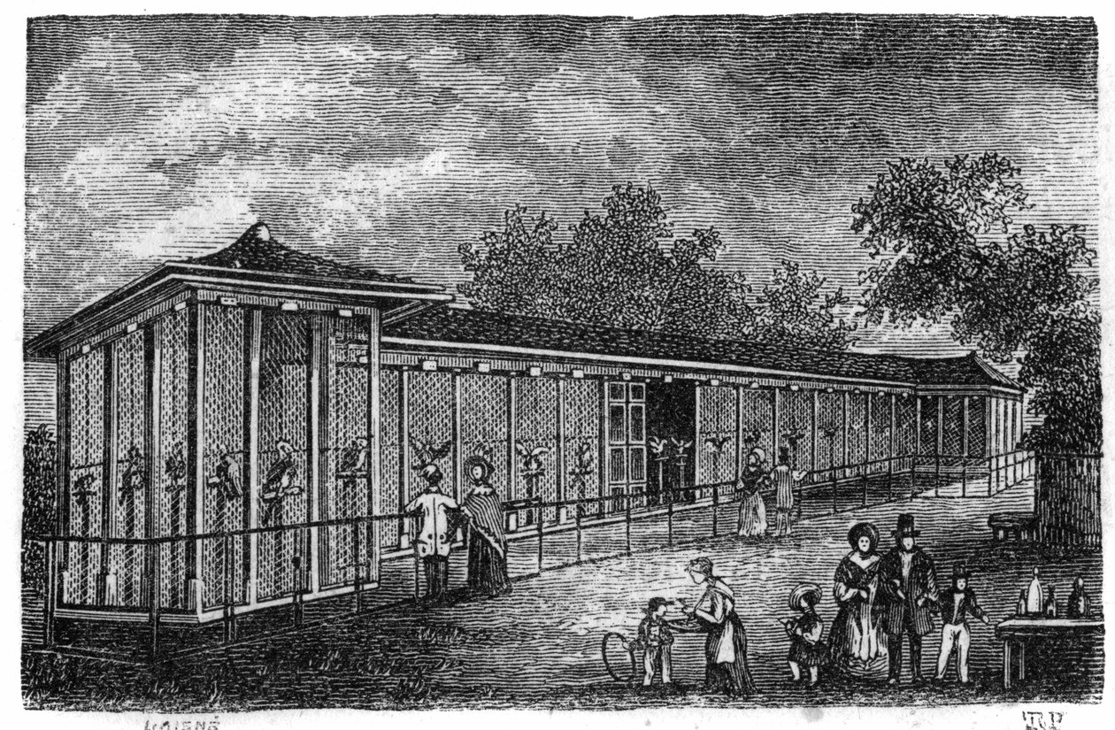 Jardin des Plantes i Paris i 1861: falkejagt. af Unknown artist