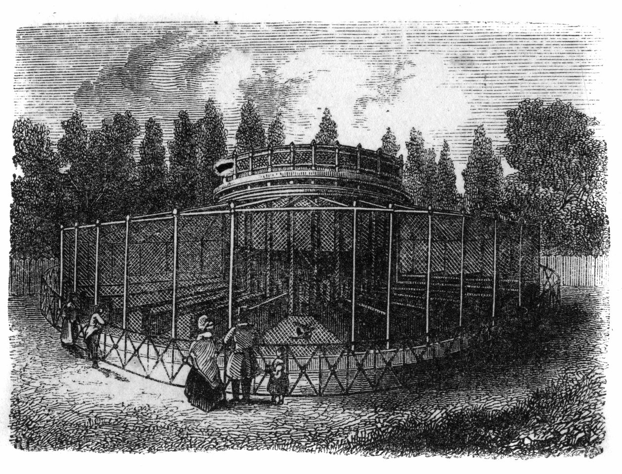 Jardin des Plantes i Paris i 1861: fasanderi. af Unknown artist