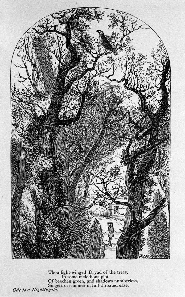 John Keats: Ode til en nattergal af Unknown artist