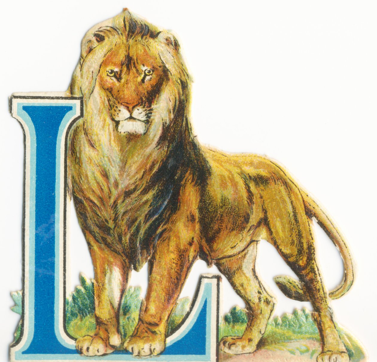 L: Løve af Unknown artist