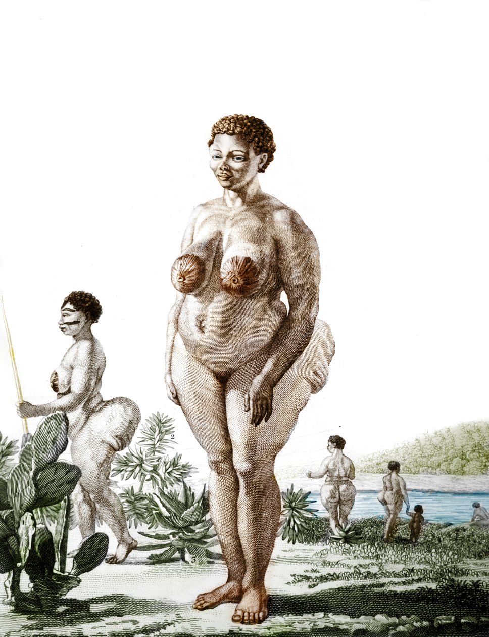 La Venus Hottentote, kvinde af racen Bochiman (The Hottentot Venus,) gravering fra 1815. af Unknown artist