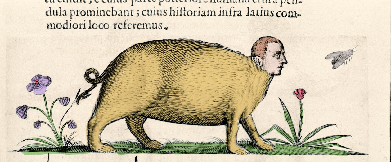 La manticore - i "De monstrorum natura causis bog to"" af Fortunio Liceti af Unknown artist