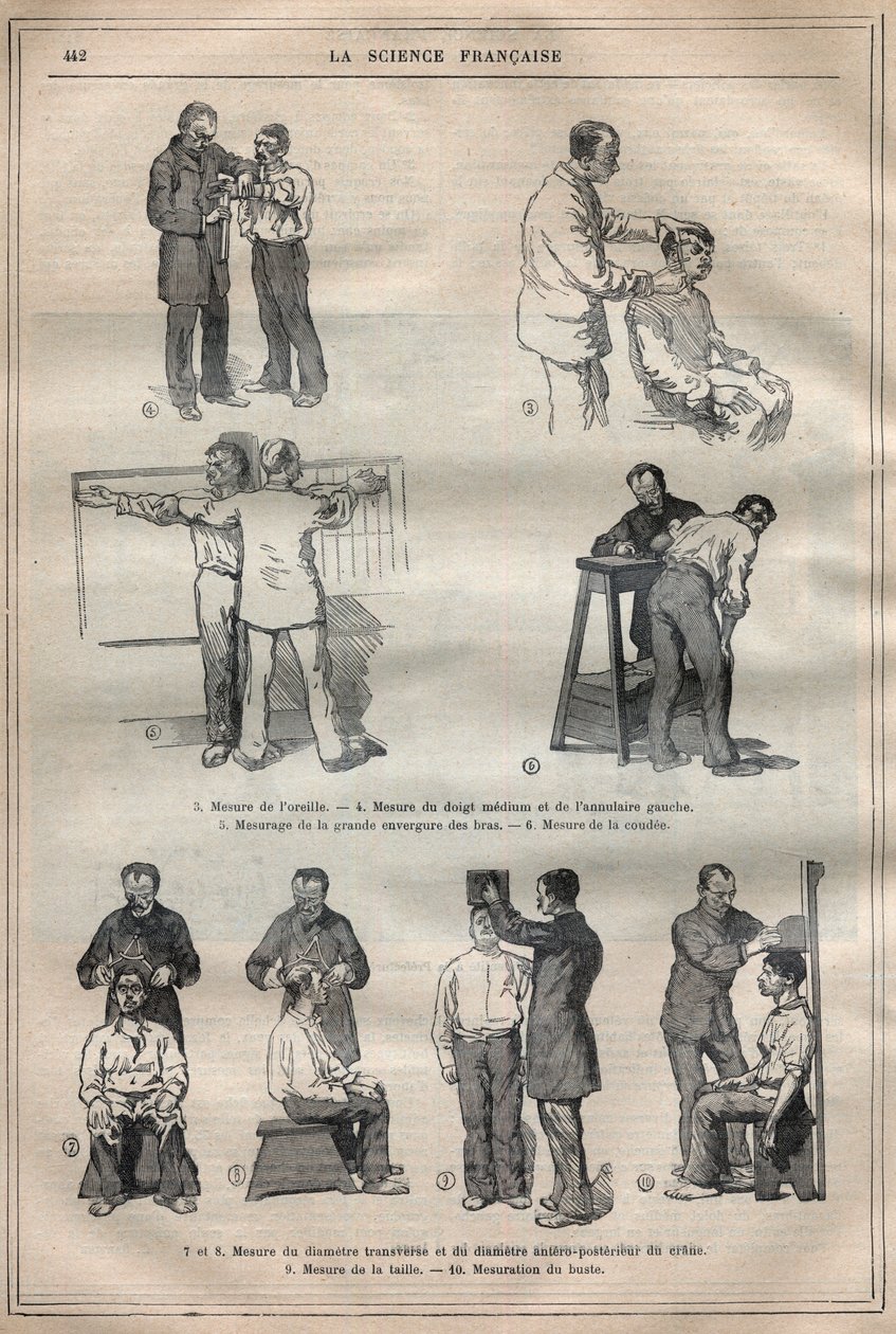 Retslig antropometri eller bertillonnage, metode af Alphonse Bertillon (1853-1914) - Indgravering i ""La Science francaise"" af Unknown artist