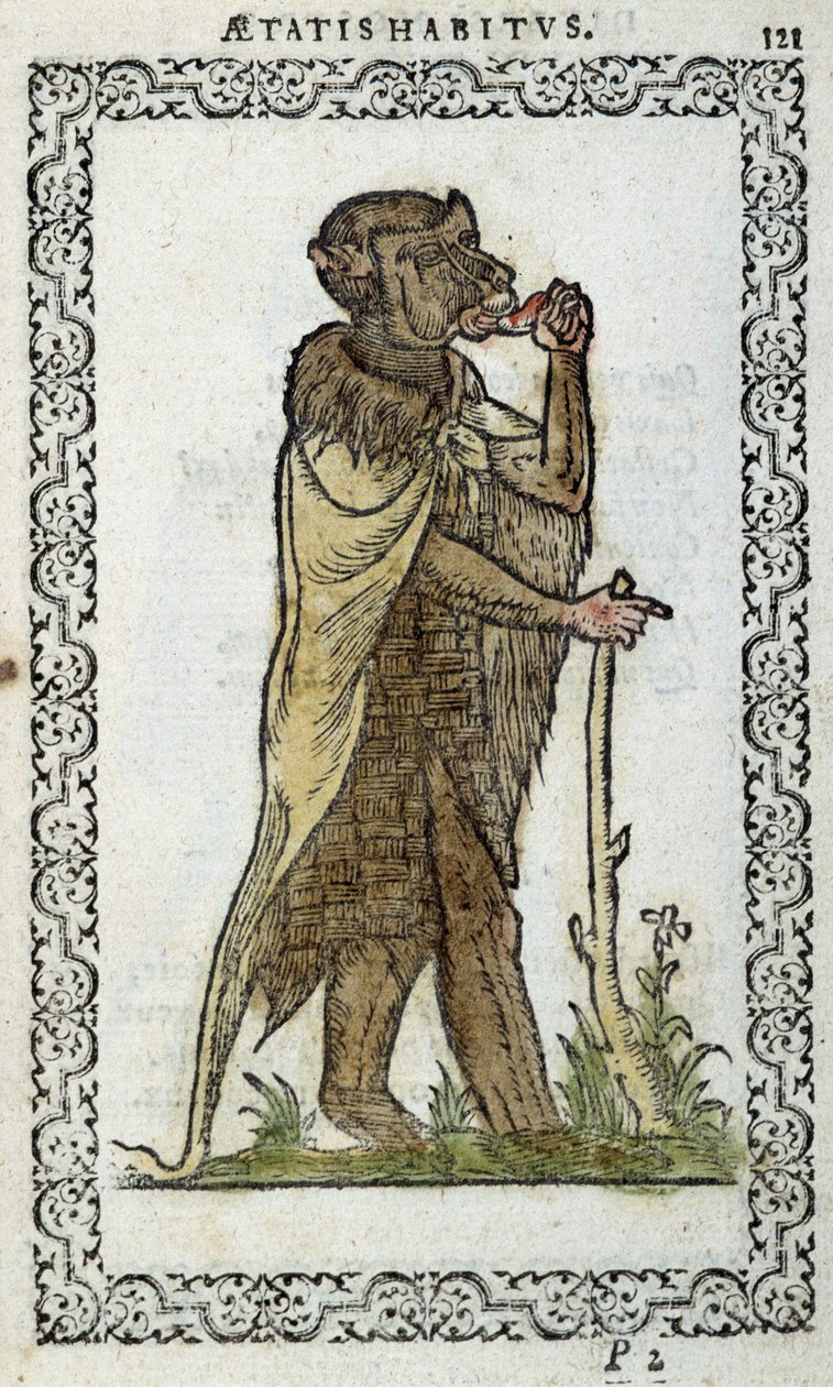 Den stående monge - i "Habits et effigies"" af Jean Sulperius af Unknown artist