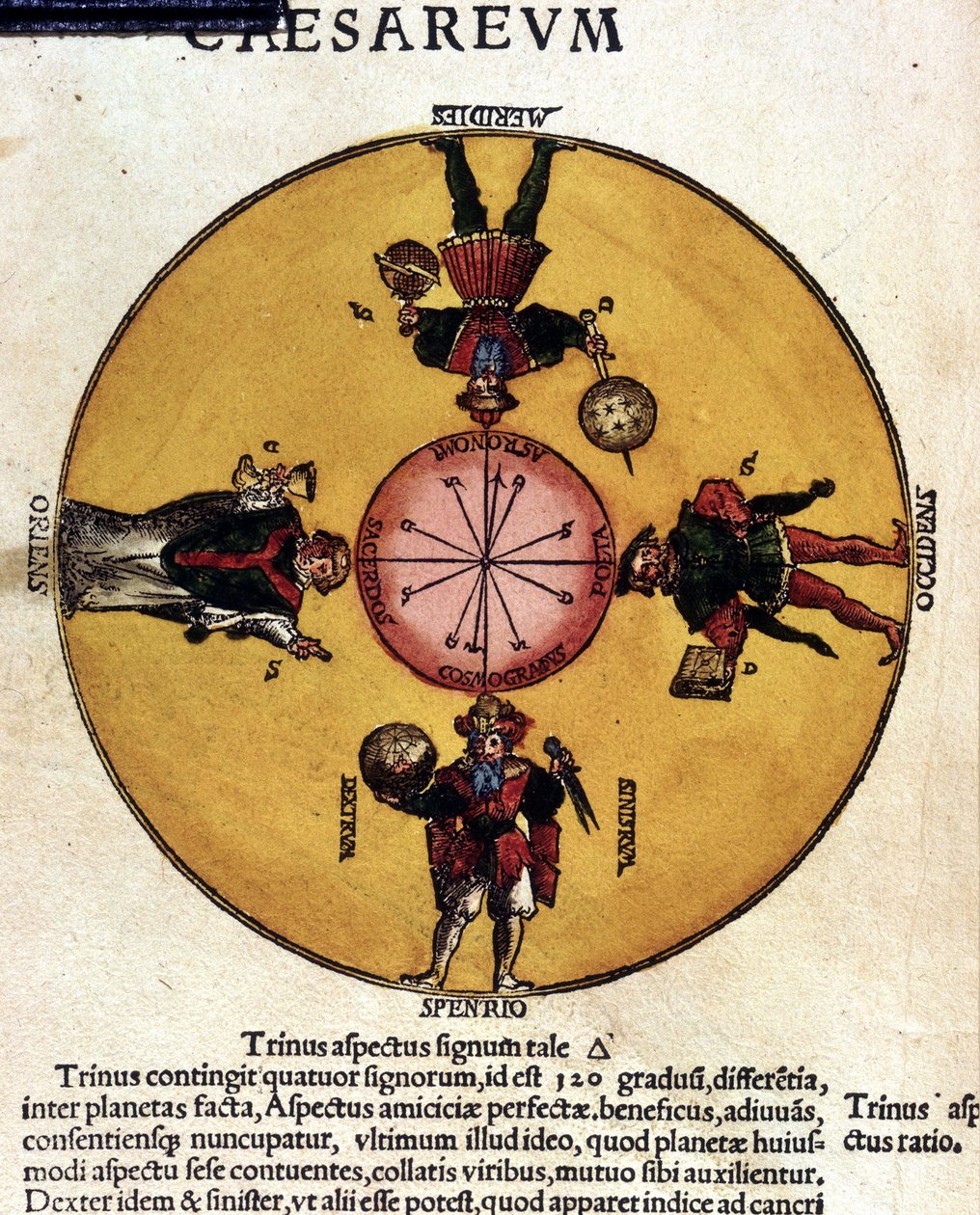 Les antipodes - i "" Astronomicon caesarum", afhandling fra det 16. århundrede. af Unknown artist