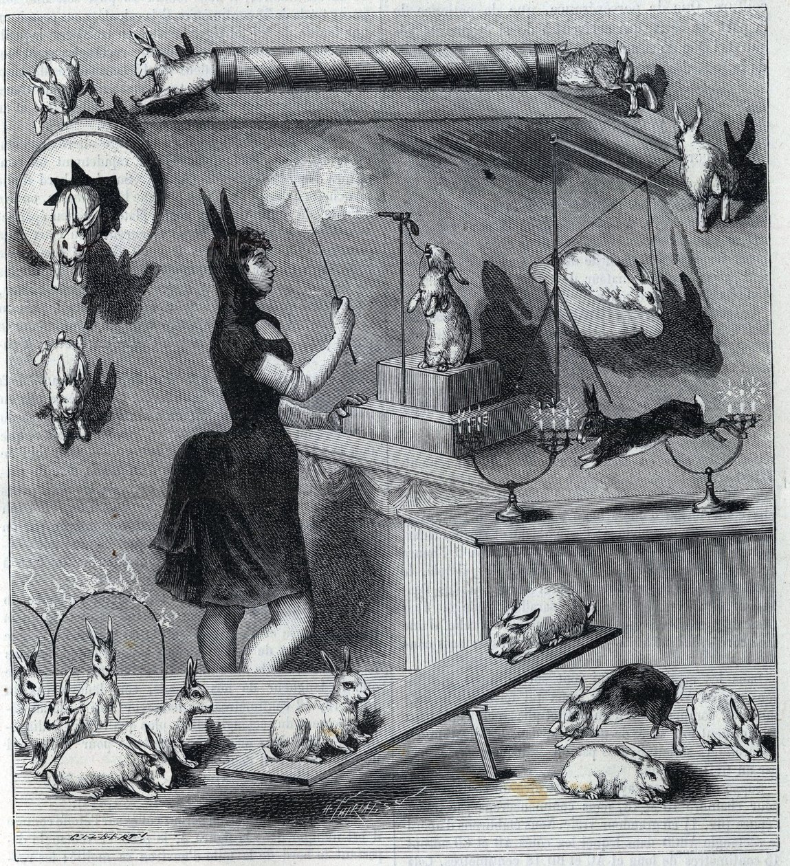 Les rabbits dresses du Nouveau Cirque i Paris: tamper i kaninkostume, der lærer dyret de forskellige numre. Stik i ""La Nature"" 1890. Privat samling. af Unknown artist