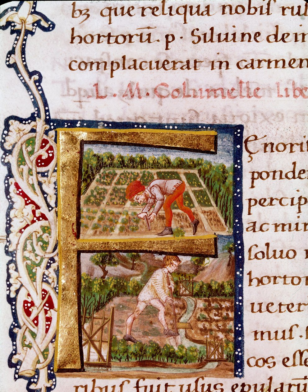 Lettrin F fra kapitlet om havebrug: scener med stranding og kunstvanding. Miniature taget fra "" De re rustica"" af agronomen Lucius Iunius Moderatus Columella (1. århundrede) (Ms.E-39). 15. århundrede. Rom, Biblioteca Vallicelliana af Unknown artist