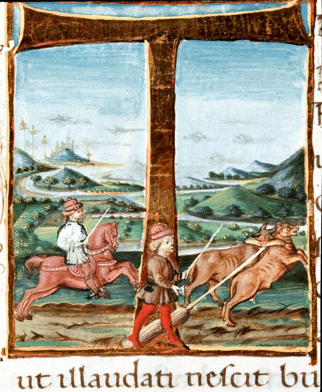 Lettrine T dekoreret af en rytter og en træner af okser - Miniature taget fra "" The Bucoliques"" (Eglogues) af Virgil (Publius Vergilius Maro) (70-19 f.Kr.) (Ms IV E.12). 1400-tallets Napoli, Nationalbiblioteket af Unknown artist