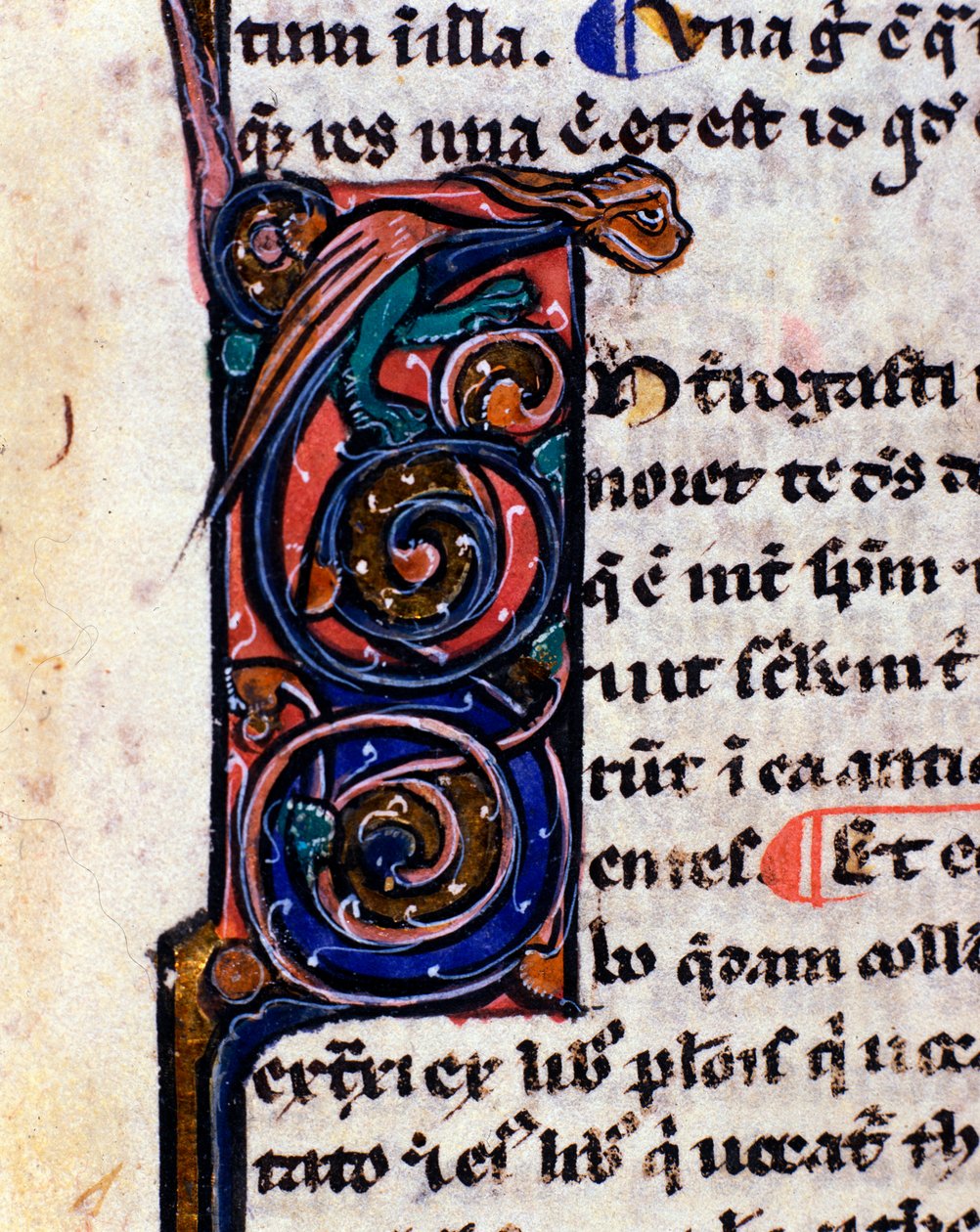 Lettrine dekoreret af et gotisk monster, der minder gargoylerne Detalje af 1300-tallets manuskript. af Unknown artist