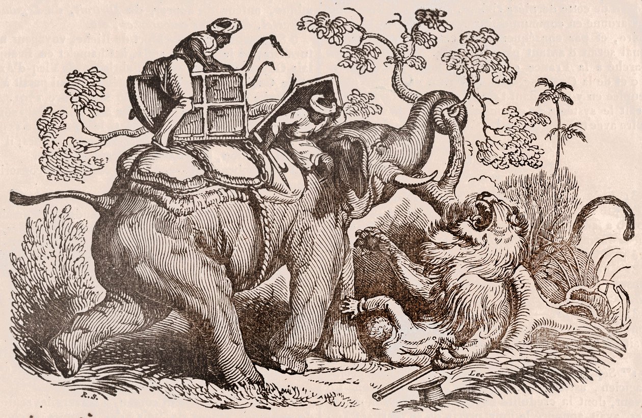 Løvejagtscene: jægeren, elefantens grav, er nu i løvens kløer (gravering) af Unknown artist