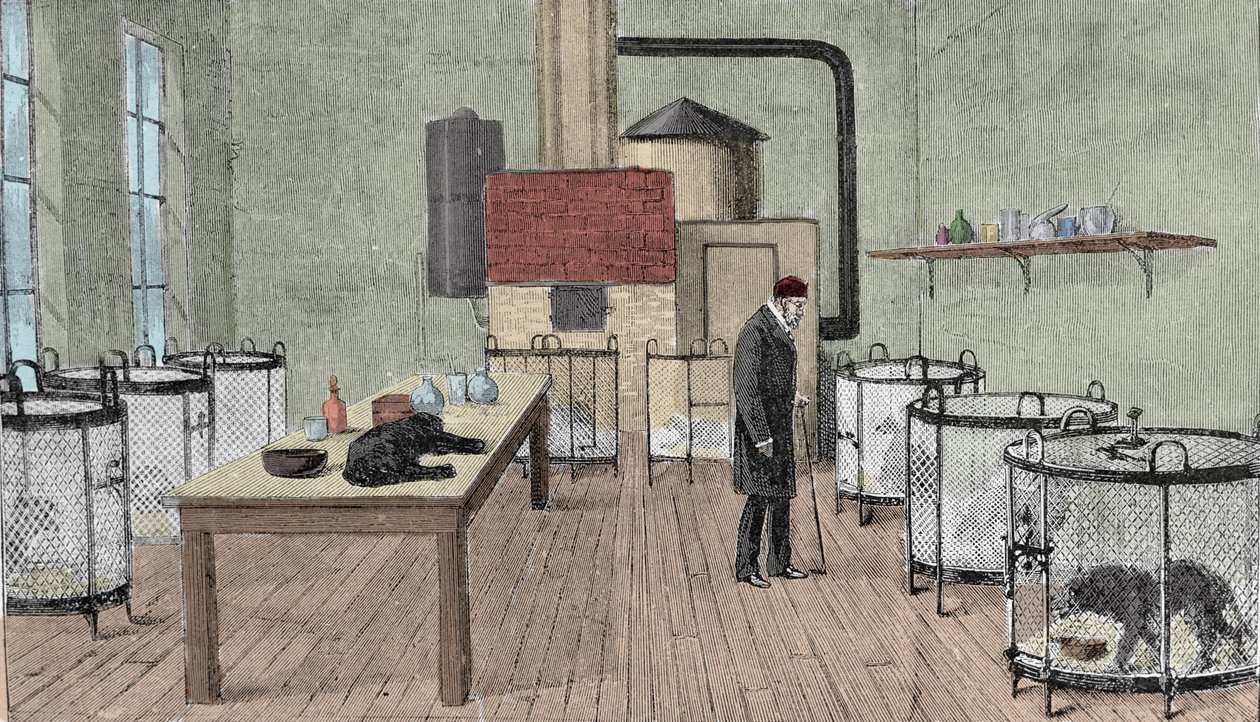 Louis Pasteur (1822-1895), fransk kemiker og fysiker i sit laboratorium i Paris. af Unknown artist