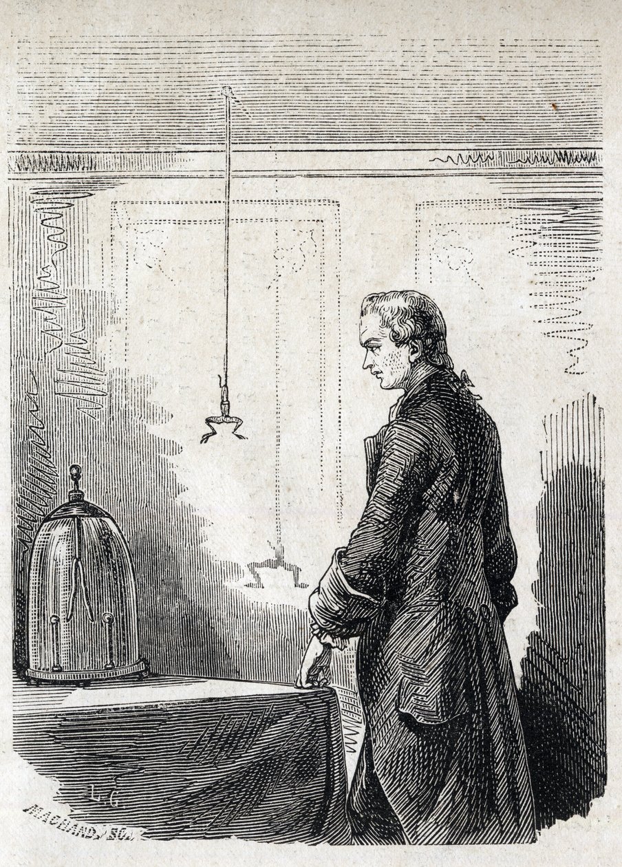 Luigi Galvani forårsager frøsammentrækninger af lynaflederelektrit - LUIGI GALVANI (1737-1798) italiensk læge og fysiker. Forårsager sammentrækninger i en frø med elektricitet fra en tordensky af Unknown artist