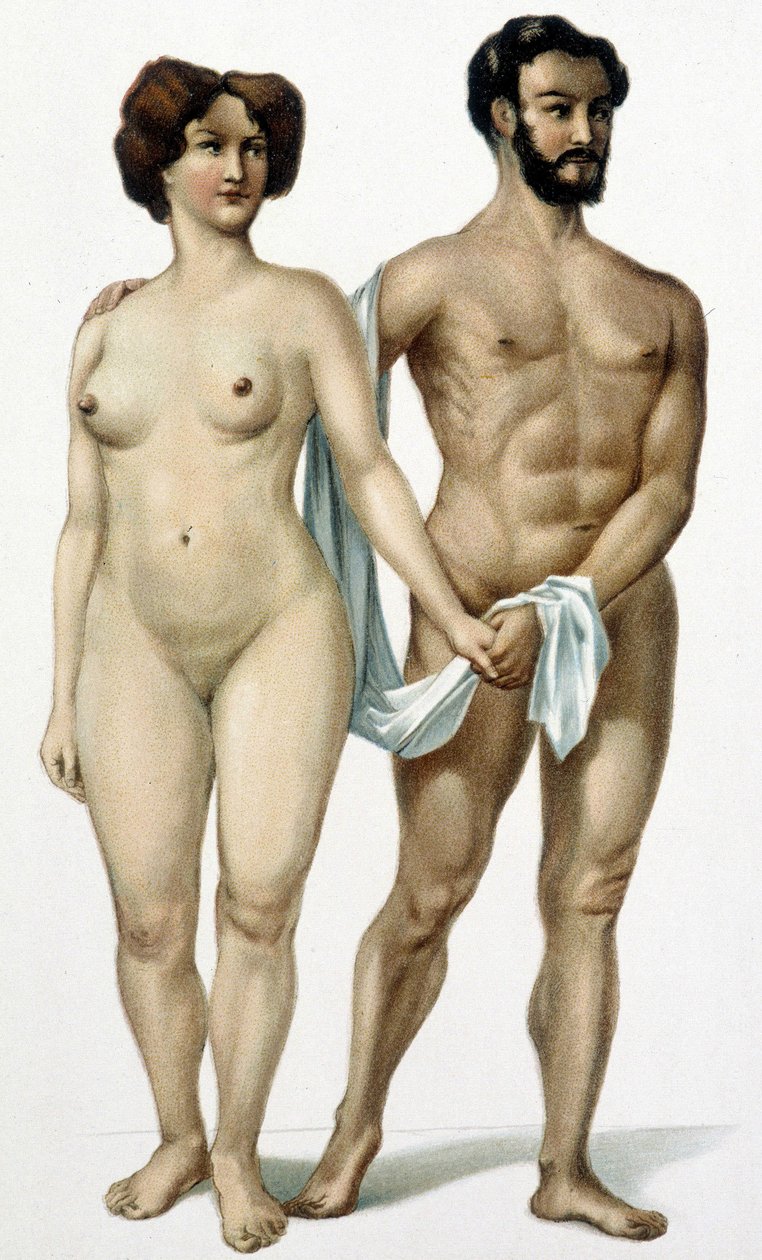 Mand og kvinde - medicinbog, slutningen af det 19. århundrede af Unknown artist