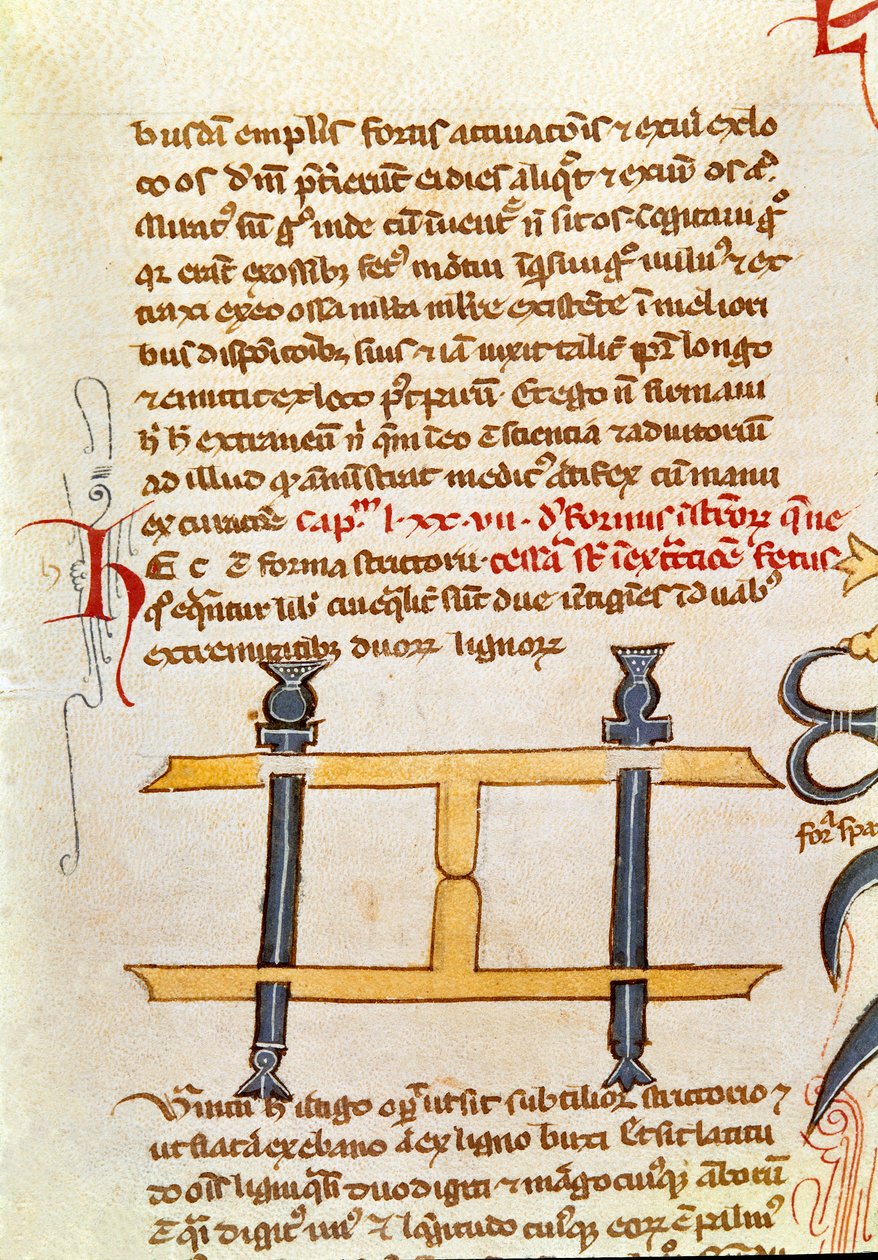 Manuskriptside "Kirurgi" (MS. LAT.VII XXXII-3023) af Guillaume de Salice (Guglielmo da Saliceto) (1207-1270) munk og læge. Biblioteca Marciana Venedig fra det 14. århundrede af Unknown artist