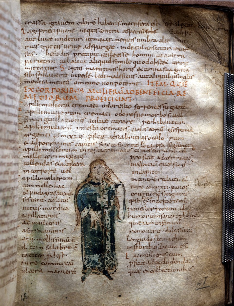 Manuskriptside udtrukket fra "De simplicibus medicamentis"" af Claude Galien (Klaudios Galenos eller Claudio Galeno eller Claudius Galenus eller Galen, v. 131 - v. 201), græsk læge. guvernør i Lucca af Unknown artist