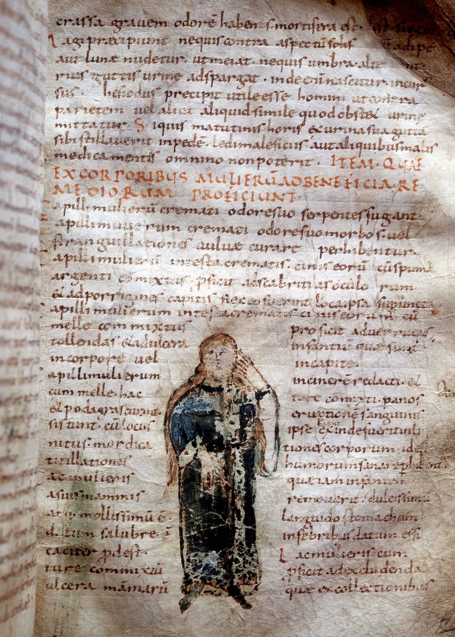 Manuskriptside fra ""De simplicibus medicamentis"" af Claude Galien (Klaudios Galenos eller Claudio Galeno eller Claudius Galenus eller Galen, v. 131 - v. 201). 8. eller 9. århundrede. guvernør i Lucca af Unknown artist