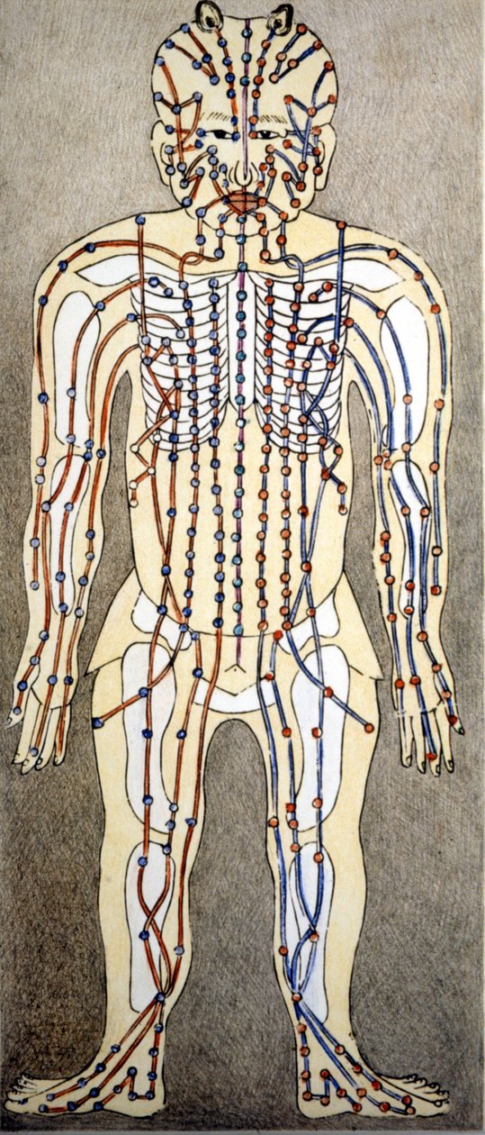 Medicin. Diagram af den menneskelige krop fra en afhandling om akupunktur. Privat bibliotek, Milano. af Unknown artist