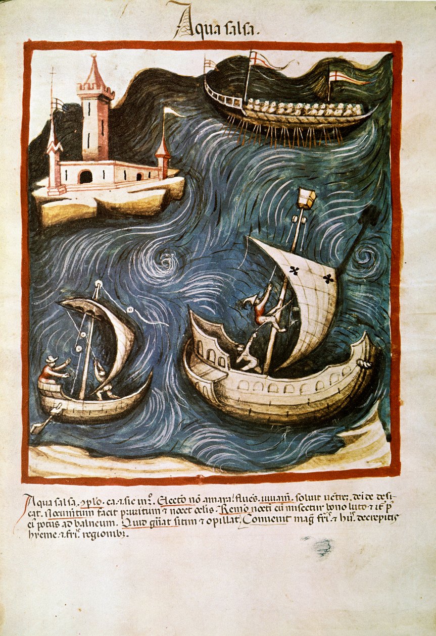 Medicinhandel: ""saltvand"" Side taget fra ""Tacuinum sanitatis"" (Cod. ser. nov. 2644) Omkring 1400 Wien, Østrigs Nationalbibliotek af Unknown artist