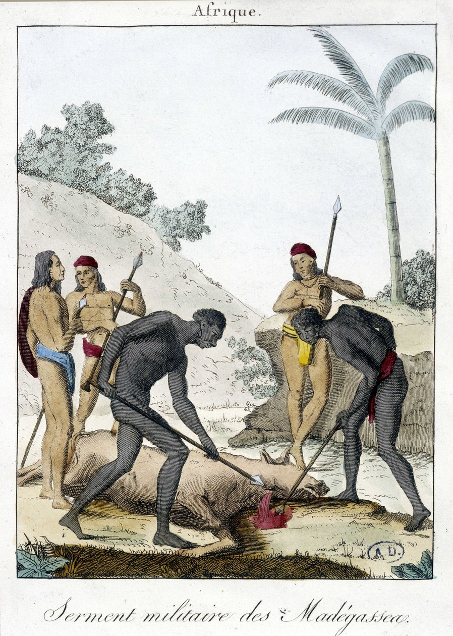 Militær ed af indbyggerne på Madagaskar (slagtet en okse) - grv. 1811 af Unknown artist
