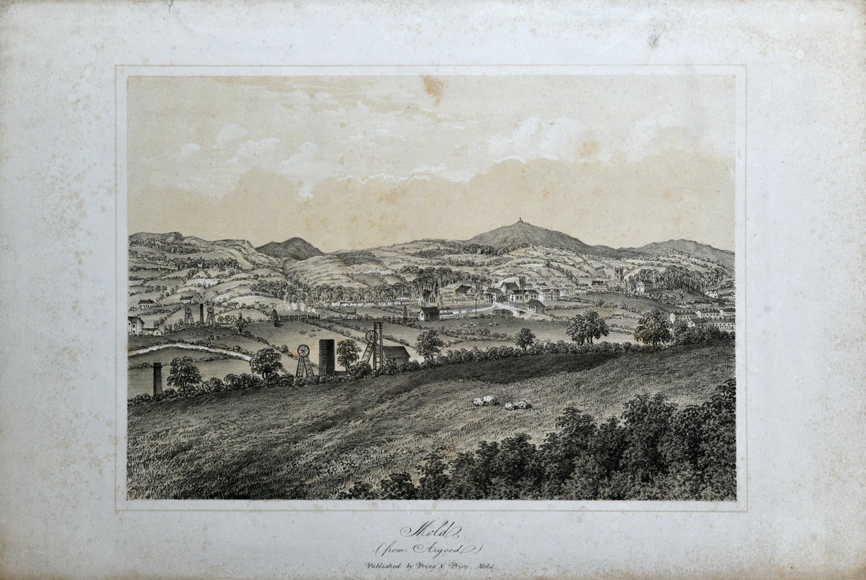 Skimmelsvamp (fra Argoed), ca. 1850 (litho på papir) af Unknown artist