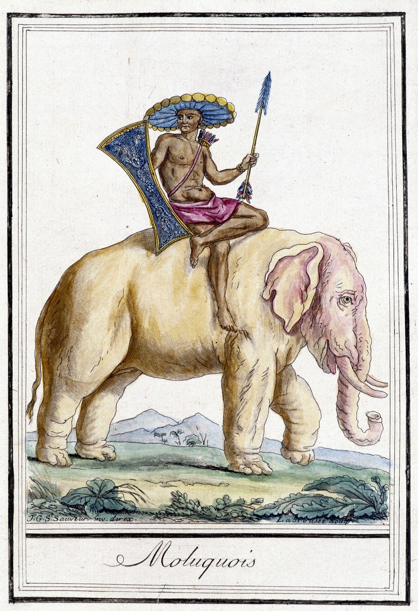 Moluksmand på en elefant (Molukkerne, Indonesien). af Unknown artist