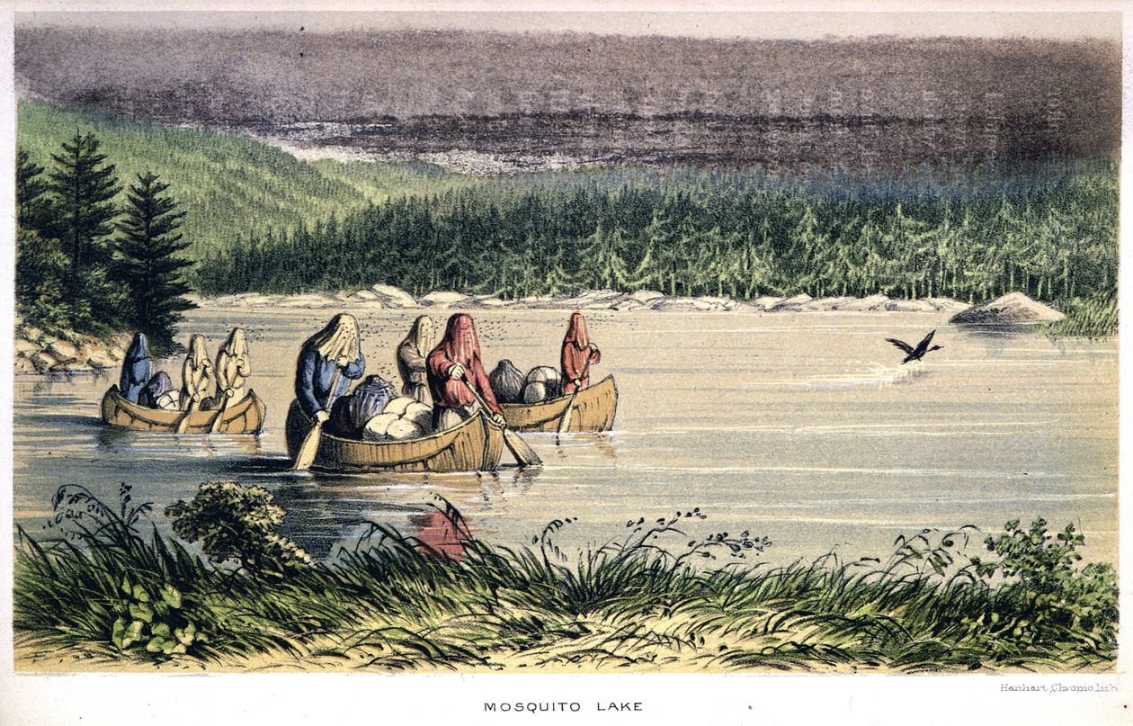 Mosquito Lake i Canada: Indianere sejler i kano over søen med myggenet på hovedet - i "Exploration of the Labrador Peninsula" af Hind, London af Unknown artist