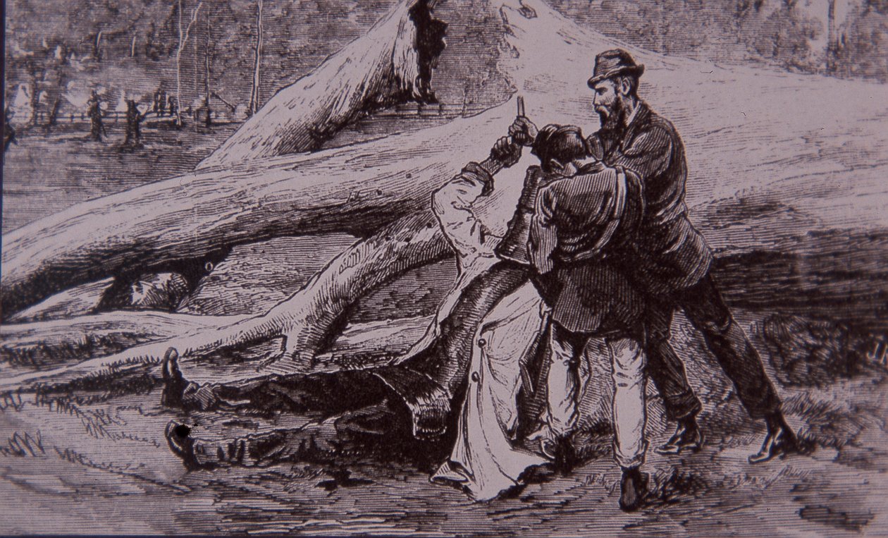 Ned Kelly fanget af politikonstabel Kelly og jernbanemand Jesse Dowsett, 28. juni 1880 (gravering) af Unknown artist