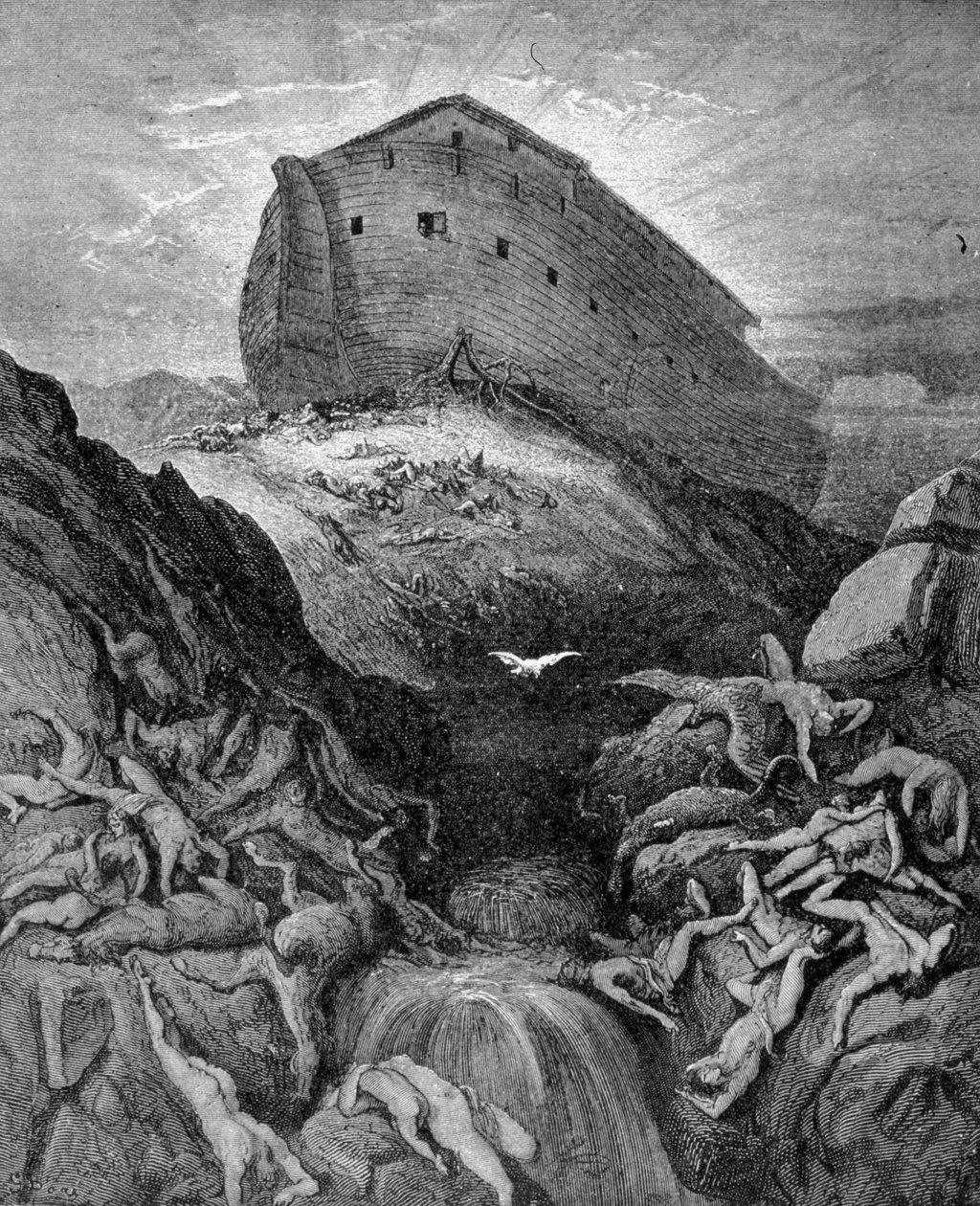 Noa sender en due til Jorden, ifølge Første Mosebog. 1800-tals gravering. af Unknown artist