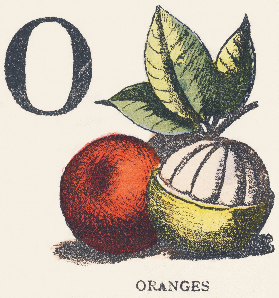 O: appelsiner af Unknown artist