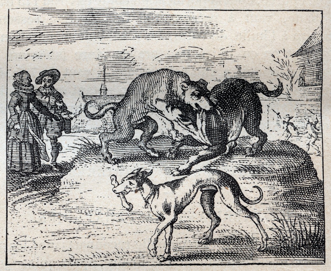 Gammelt engelsk ordsprog: to hunde stræber efter en knogle og den tredje tager den væk af Unknown artist
