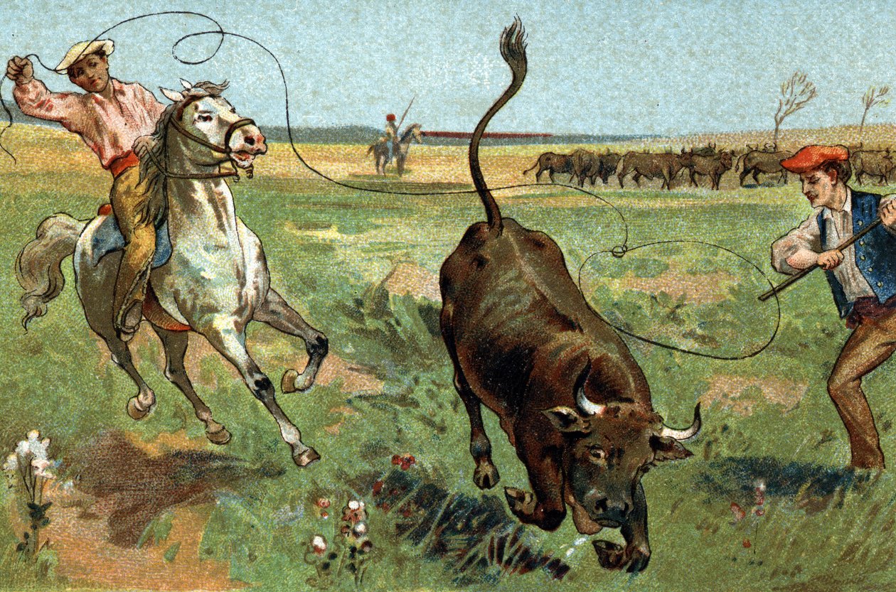 Gammel skik, der fejres i Provence-regionen: Ferraden i Camargue. Kromolitografi i slutningen af det 19. århundrede. af Unknown artist