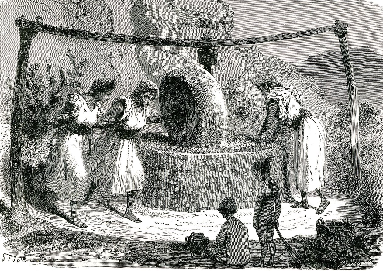 Olivenmølle i Algeriet 1885 af Unknown artist