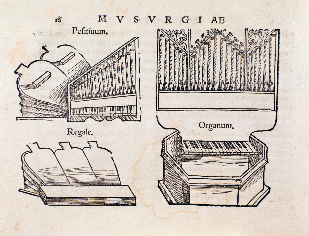 Organrepræsentation. Side taget fra Musurgia praktiske musikhåndbog af Unknown artist