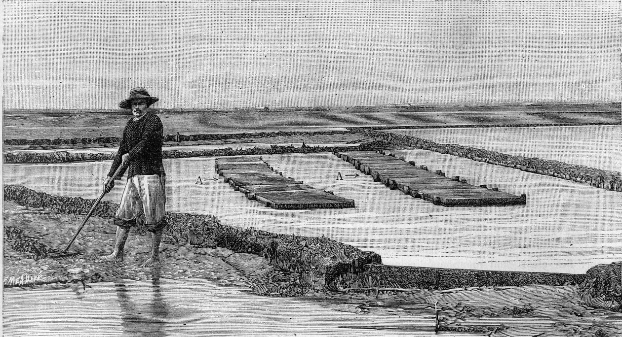 Ostreiculture - dyrkning af østers i Arcachon-bassinet (1894): generel udsigt over en østerspark. A, A: ambulancer eller ostreofile kasser. (Fra et fotografi). Gravering i "" La Nature: revue des sciences et de leurs applications aux arts et a l