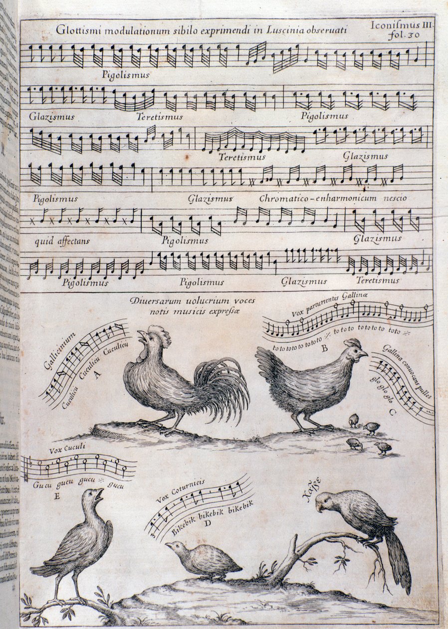 Side fra Musurgia (1650) af Unknown artist