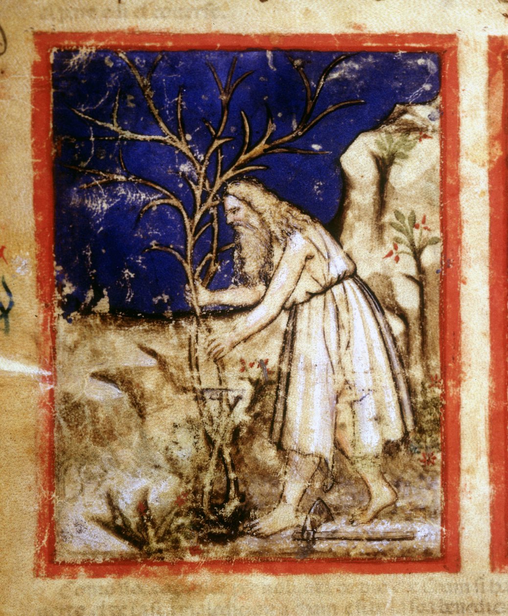 Side af et bibelmanuskript. Noahs planteliv. Miniaturer fra codex 212 (eller Padovano Codice eller Bible of Padua) 1390-1400 Rovigo, Accademia dei Concordi af Unknown artist