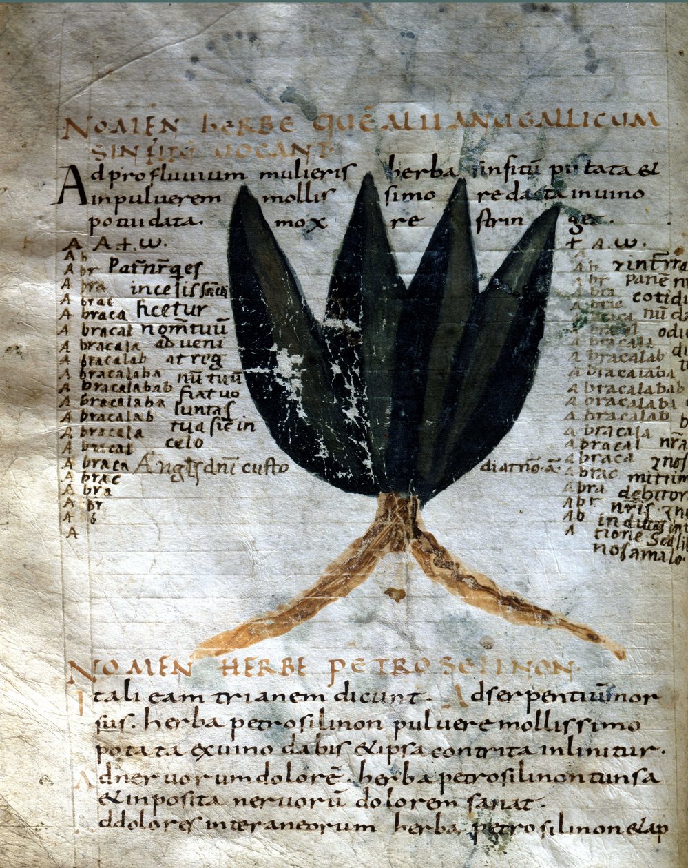Side af Apuleius