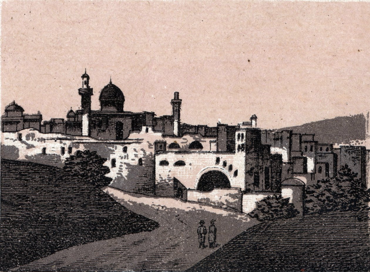 Palæstina: udsigt over byen Jerusalem. i "" Verden illustrerer 168 visninger"" Udateret (slutningen af det 19. århundrede) af Unknown artist