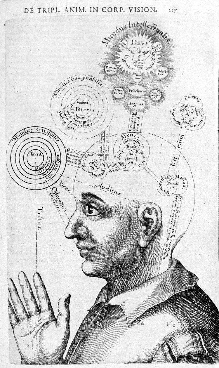 Fysiognomibillede (frenologi) fra Samling af værker af Robert Fludd (Robertus de Fluctibus). London 1617 af Unknown artist