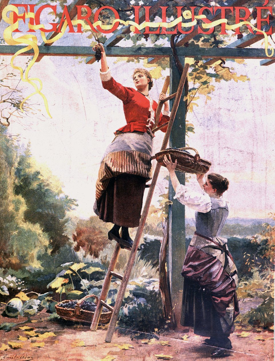 Plukning af druer i suspenderede vinstokke - i "" Figaro illustré", okt. 1891 af Unknown artist