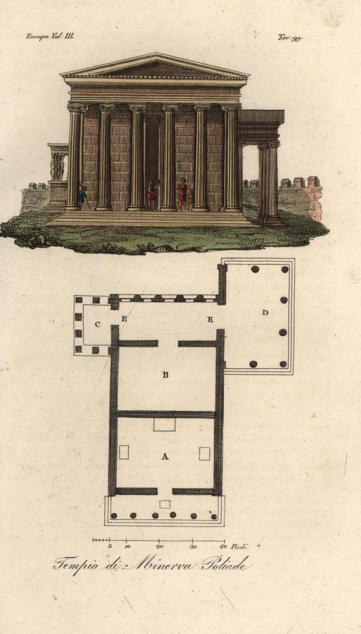 Plan og højde af Erechtheion eller Erechtheum A, Temple of Neptun B, Temple of Minerva Polias med Porch of the Caryatid C, og Temple of Pandrosus eller Pandrosion D af Unknown artist