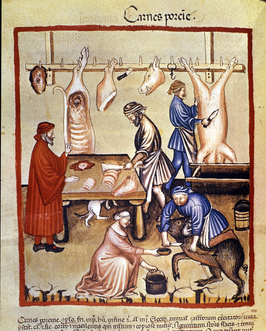 Produktion af svinekød. Grisen slagtes og slagterne skærer stykkerne. Belysning fra malkning af medicin og diætetik "" Tacuinum sanitatis"" af Unknown artist