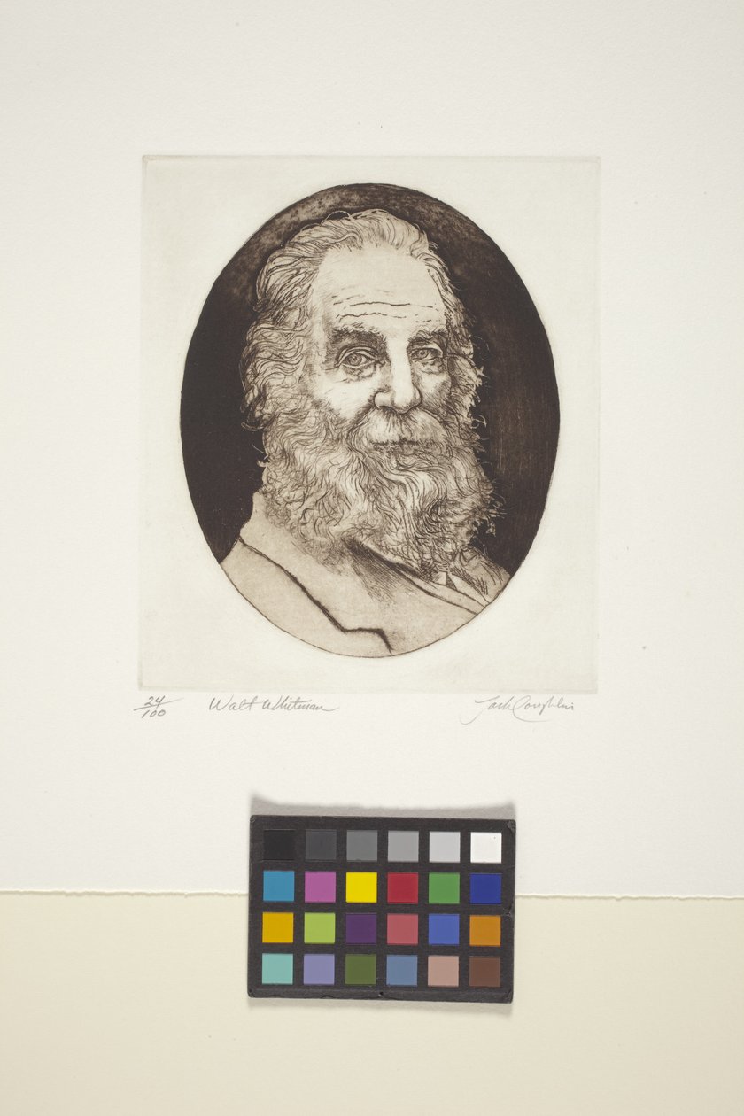 Portræt af Walt Whitman (blæk, tryk) af Unknown artist