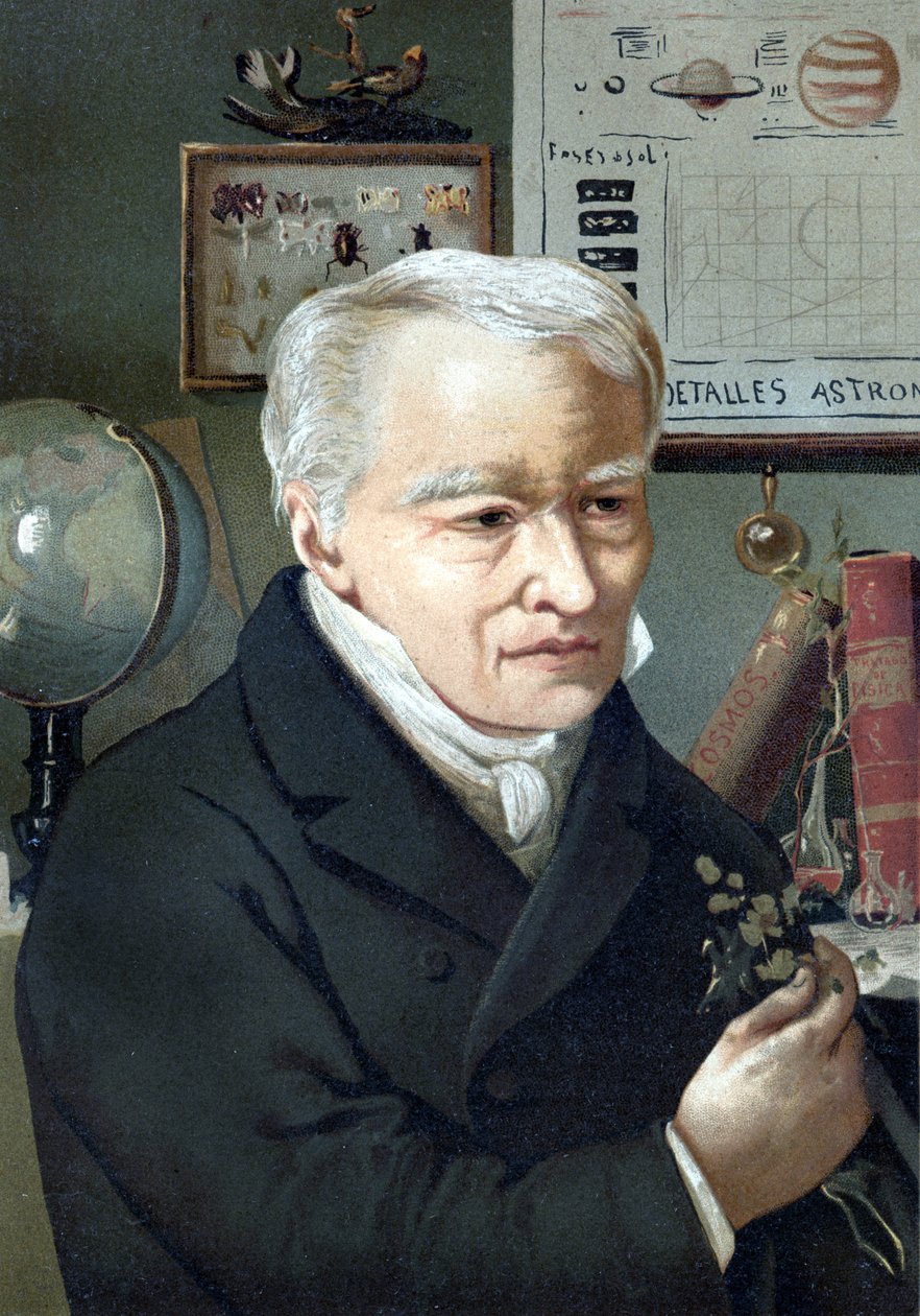 Portræt af Alexander Von Humboldt (Alexander af Humboldt af Unknown artist