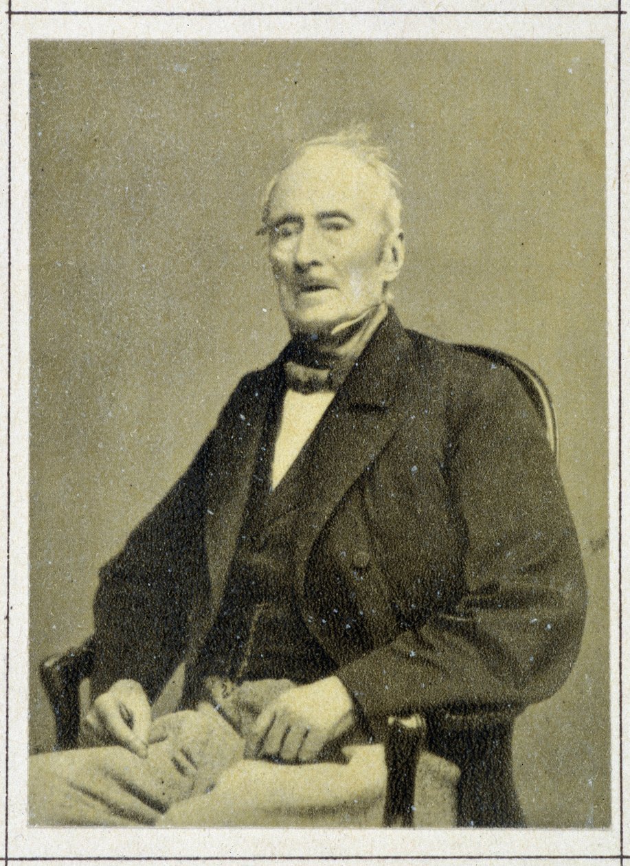 Portræt af Alphonse de Lamartine (1790 - 1869) i 1867 af Unknown artist